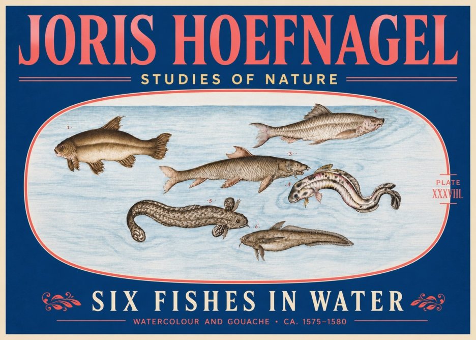 Joris Hoefnagel Six Fishes in Water II No5 - Poster