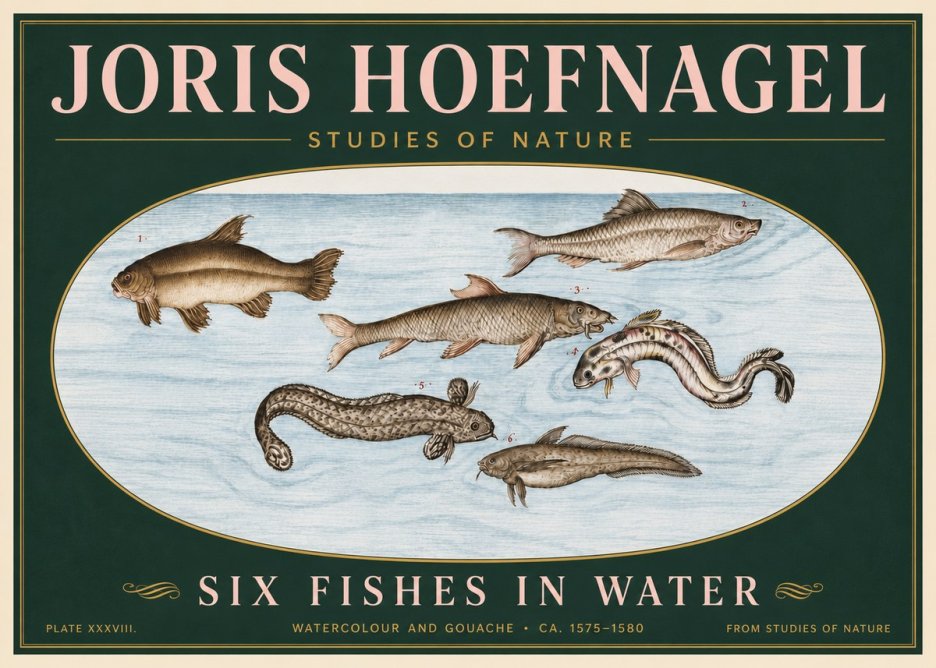 Joris Hoefnagel Six Fishes in Water II No6 - Poster