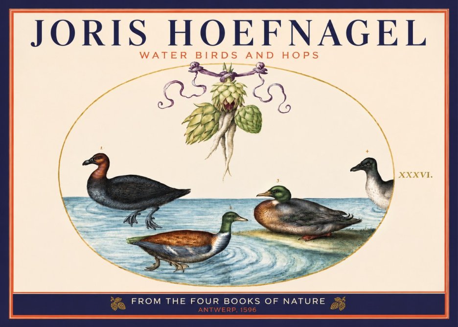 Joris Hoefnagel Waterfowl and Hop Bine No6 - Poster