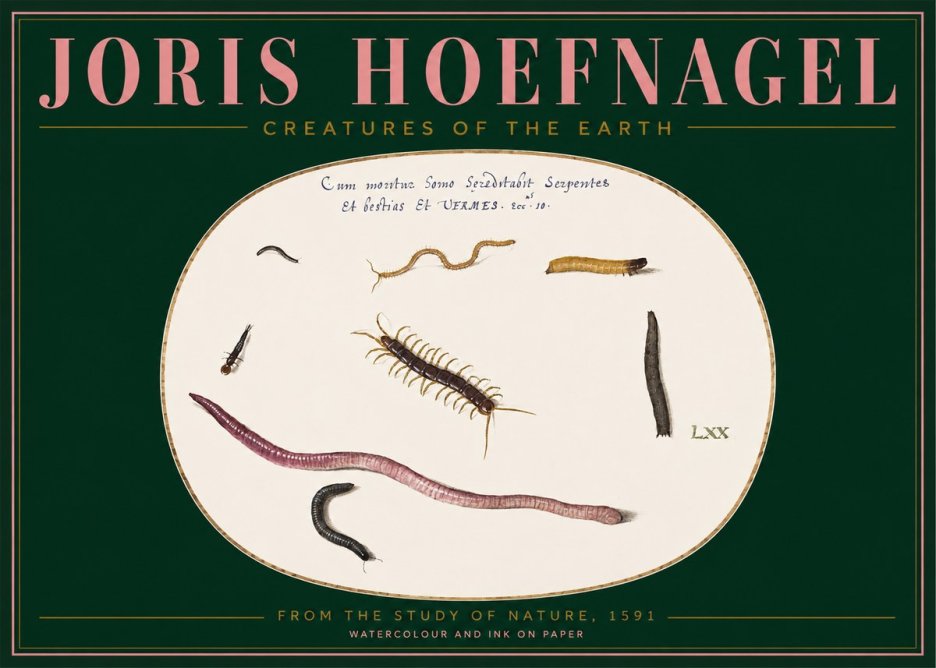 Joris Hoefnagel Creatures of the Earth II No2 - Poster