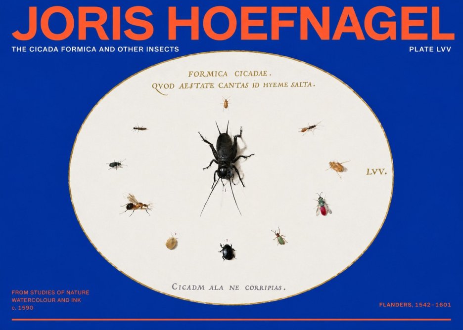 Joris Hoefnagel Formica Cicadae No6 - Poster