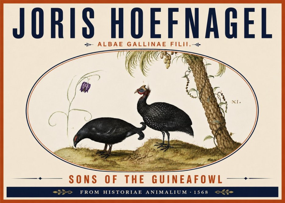 Joris Hoefnagel Albae Gallinae Filii. No6 - Poster