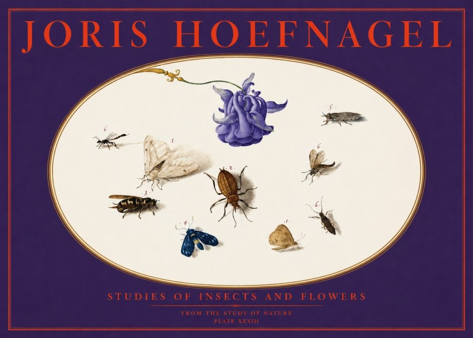Joris Hoefnagel Studies of Insects and Flowers No6 - Poster