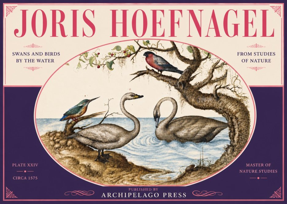 Joris Hoefnagel Swans and Birds by the Water No6 - Poster