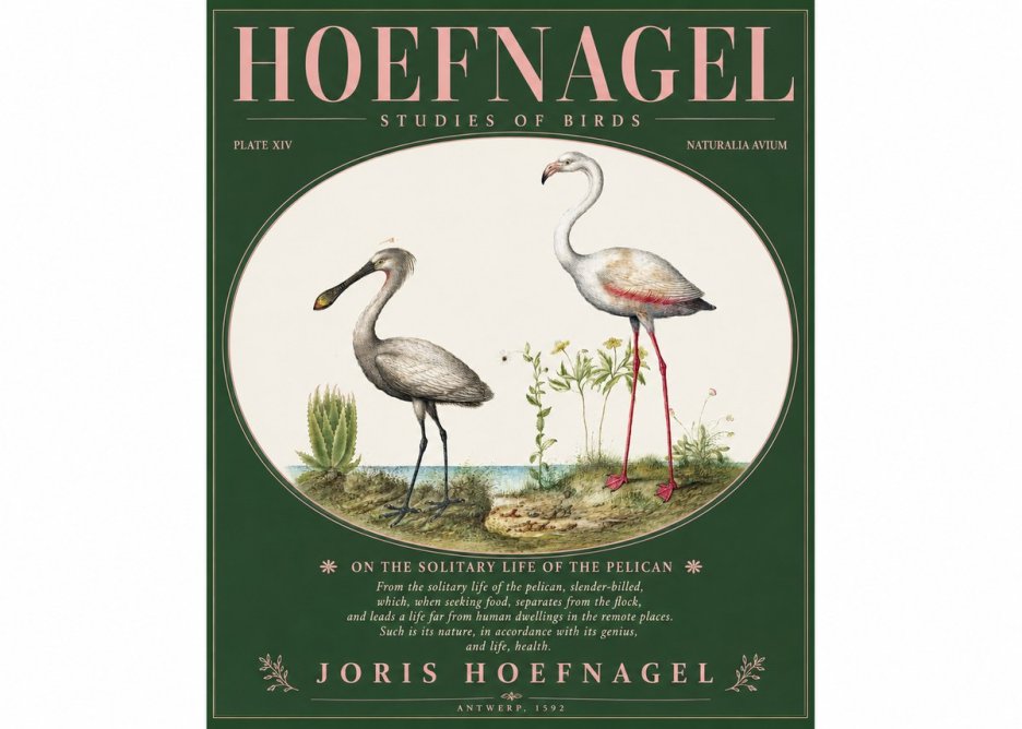Joris Hoefnagel The Solitary Sanctuary of the Spoonbill and the Flamingo No3 - Poster