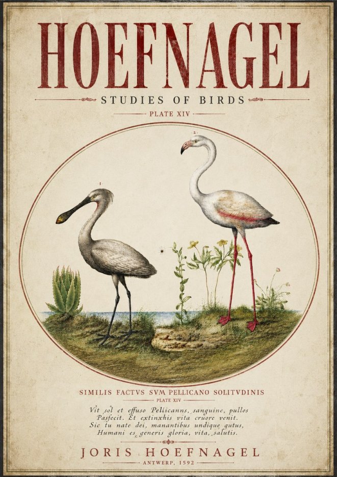 Joris Hoefnagel The Solitary Sanctuary of the Spoonbill and the Flamingo No5 - Poster