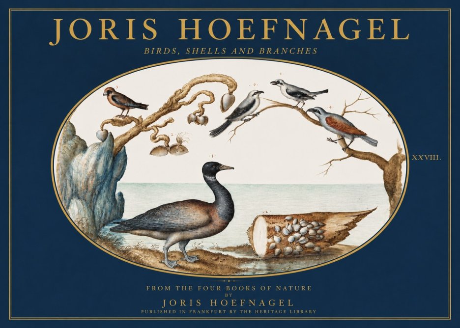 Joris Hoefnagel Birds, Shells and Branches No2 - Poster