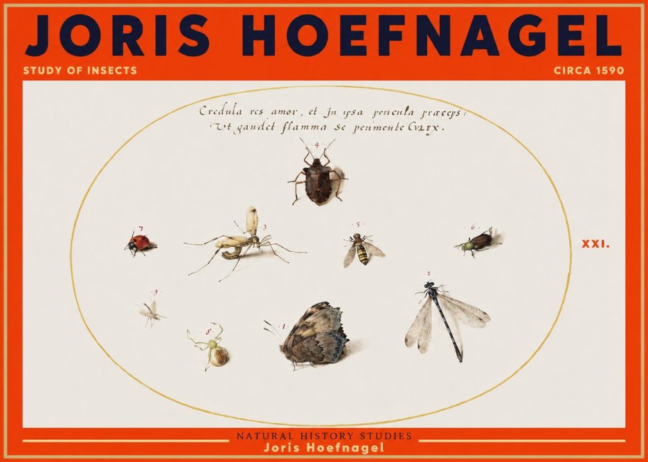 Joris Hoefnagel Study of Insects • Circa 1590 No3 - Poster