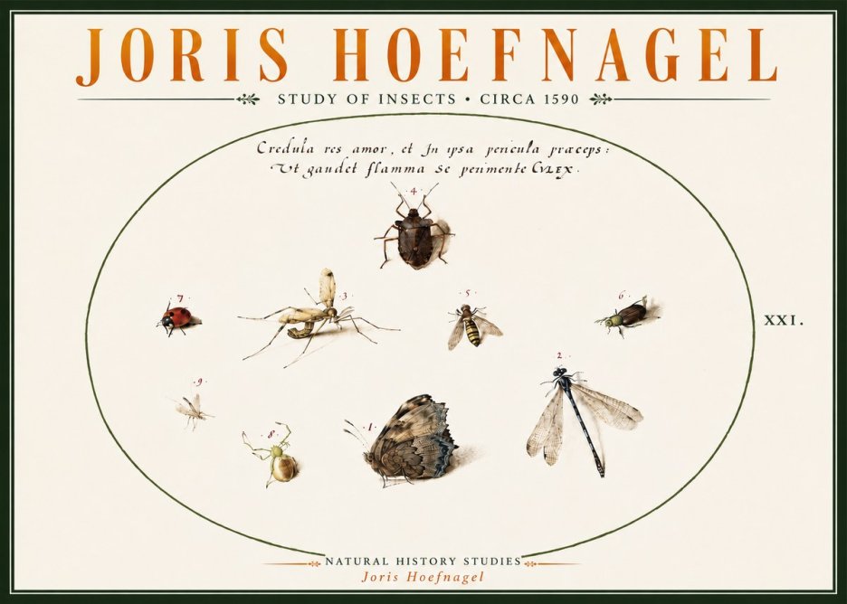 Joris Hoefnagel Study of Insects • Circa 1590 No6 - Poster
