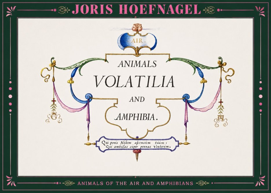 Joris Hoefnagel Animals Volatilia and Amphibia. No2 - Poster