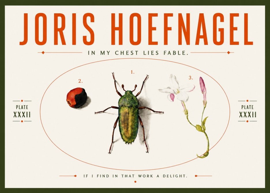 Joris Hoefnagel In My Chest Lies Fable No5 - Poster