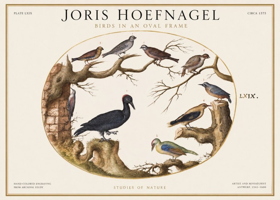 Joris Hoefnagel Birds in an Oval Frame No1 - Poster