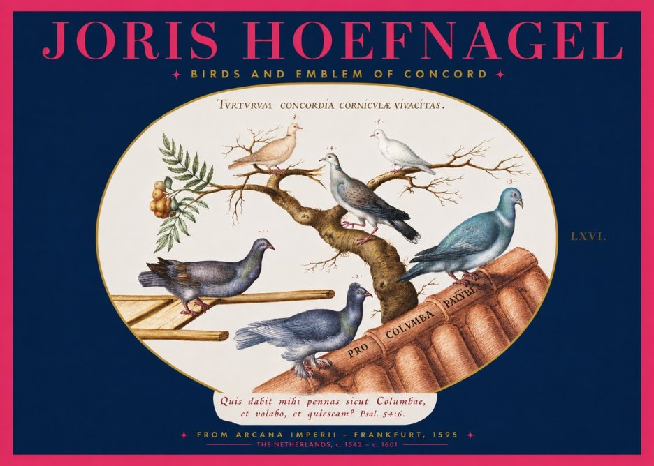 Joris Hoefnagel Birds and Emblem of Concord No2 - Poster