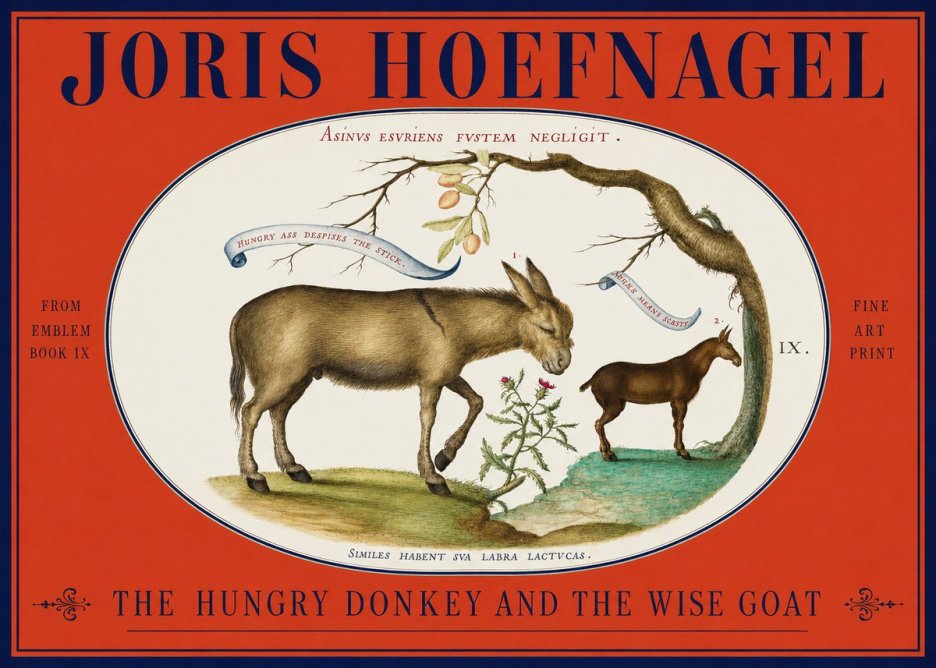 Joris Hoefnagel The Hungry Donkey and the Wise Goat No2 - Poster