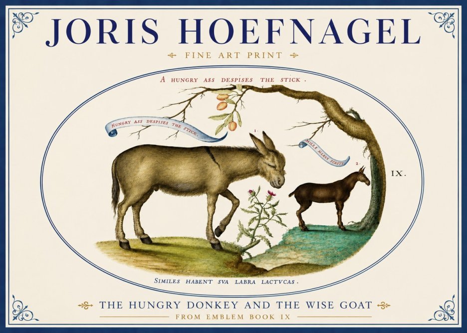 Joris Hoefnagel The Hungry Donkey and the Wise Goat No4 - Poster