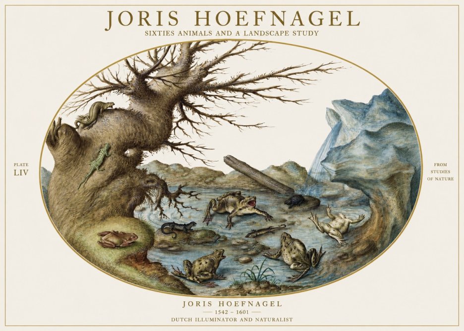 Joris Hoefnagel Sixtties Animals and a Landscape Study No1 - Poster