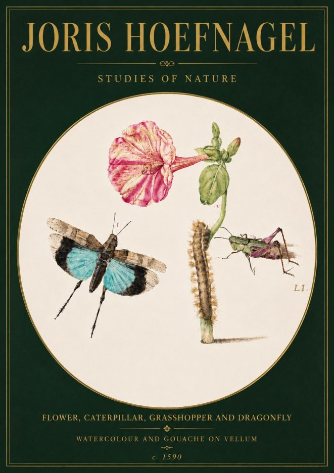 Joris Hoefnagel Plate L1. Studies of Insects and Plants No6 - Poster