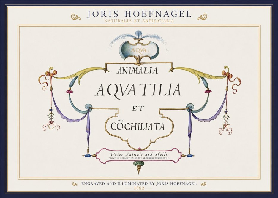 Joris Hoefnagel Animalia Aquatilia Et Cochiliata No1 - Poster