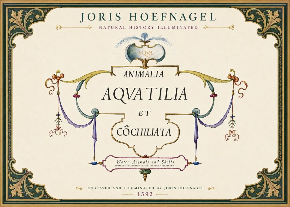 Joris Hoefnagel Animalia Aquatilia Et Cochiliata No6 - Poster