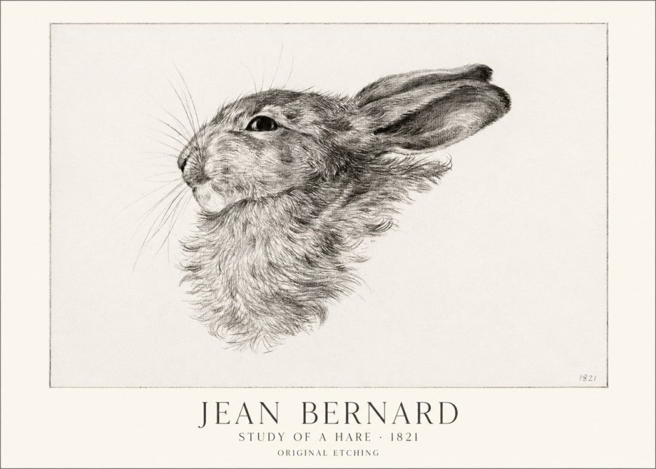 Jean Bernard Study of a Hare No1 - Poster