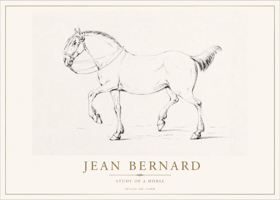 Jean Bernard Study of a Horse XVI No1 - Poster
