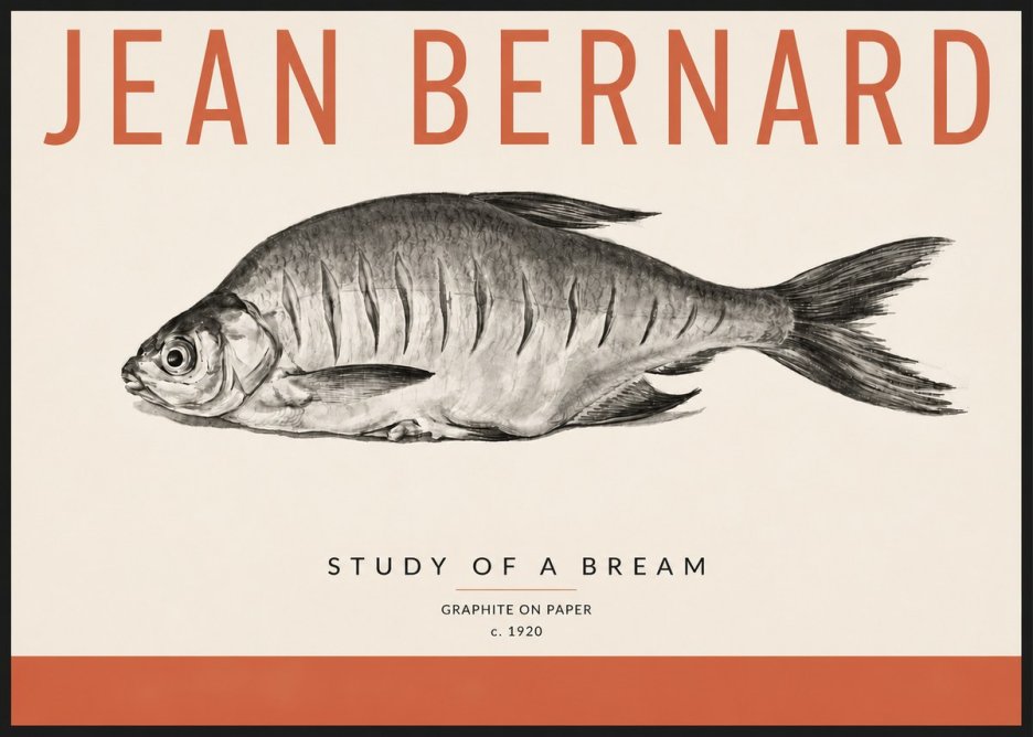 Jean Bernard Study of a Bream No4 - Poster