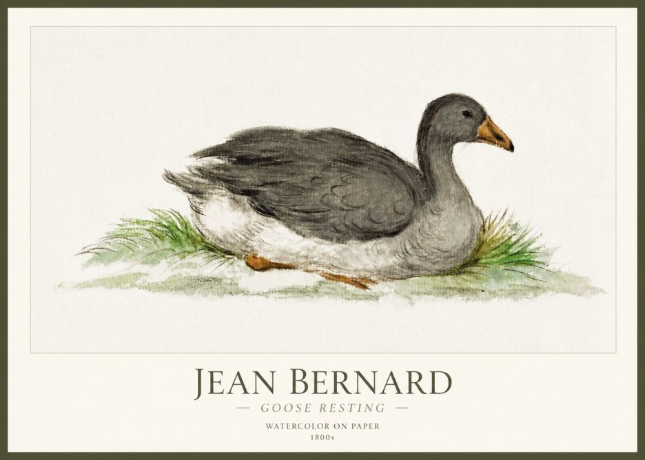 Jean Bernard Goose Resting No1 - Poster