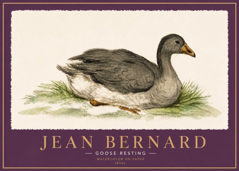 Jean Bernard Goose Resting No6 - Poster
