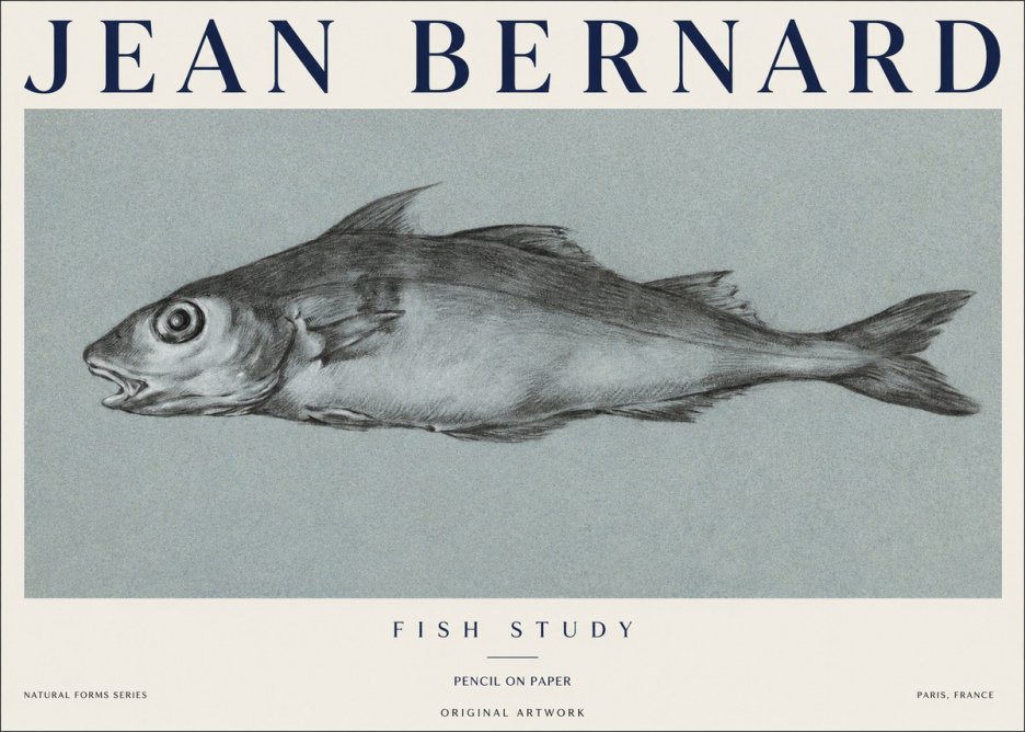Jean Bernard Fish Study I No1 - Poster