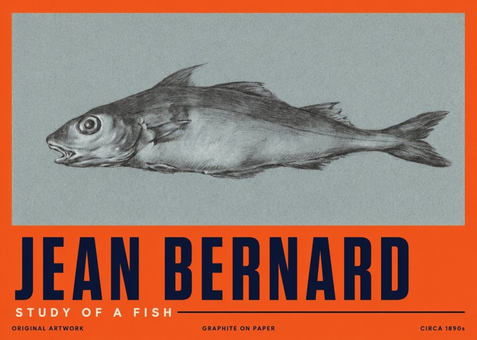 Jean Bernard Fish Study I No5 - Poster