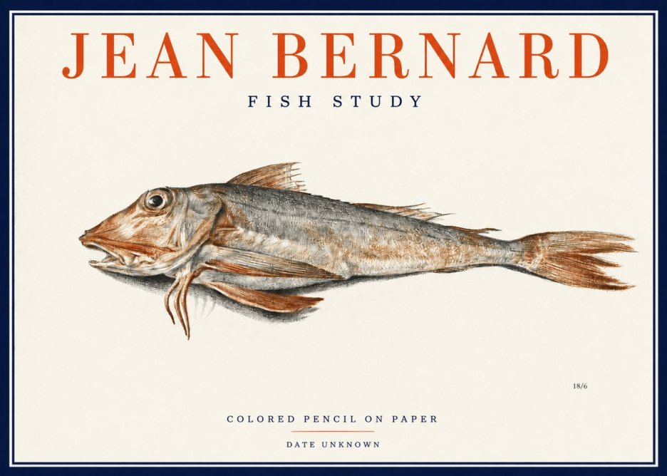 Jean Bernard Fish Study II No2 - Poster