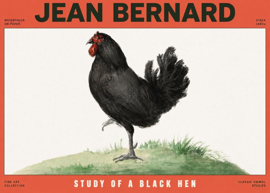 Jean Bernard Study of a Black Hen No2 - Poster