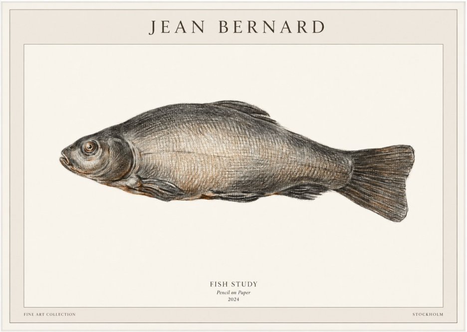 Jean Bernard Fish Study IV No1 - Poster