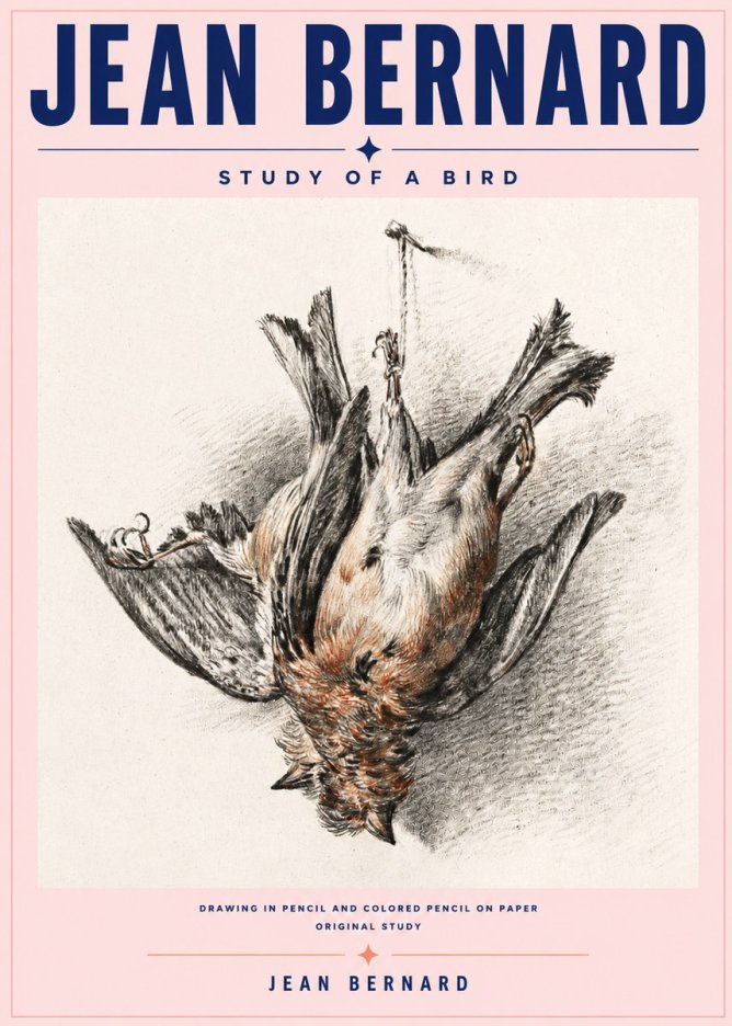 Jean Bernard Study of a Bird IV No6 - Poster
