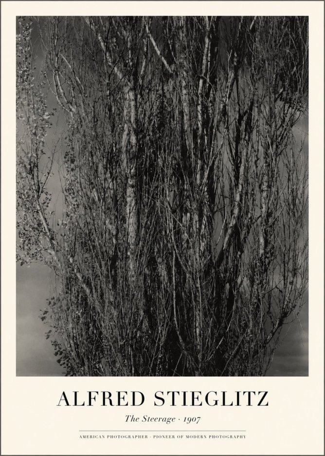 Alfred Stieglitz The Steerage II No1 - Poster