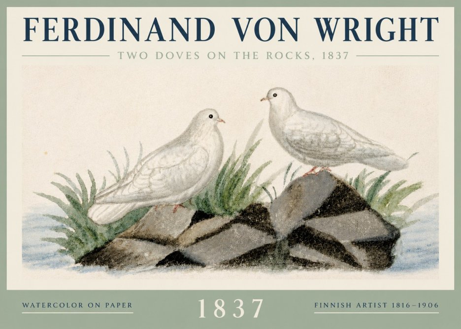 Ferdinand von Wright Two Doves on the Rocks, 1837 No3 - Poster
