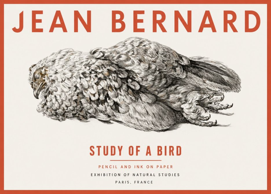 Jean Bernard Study of a Bird I No2 - Poster