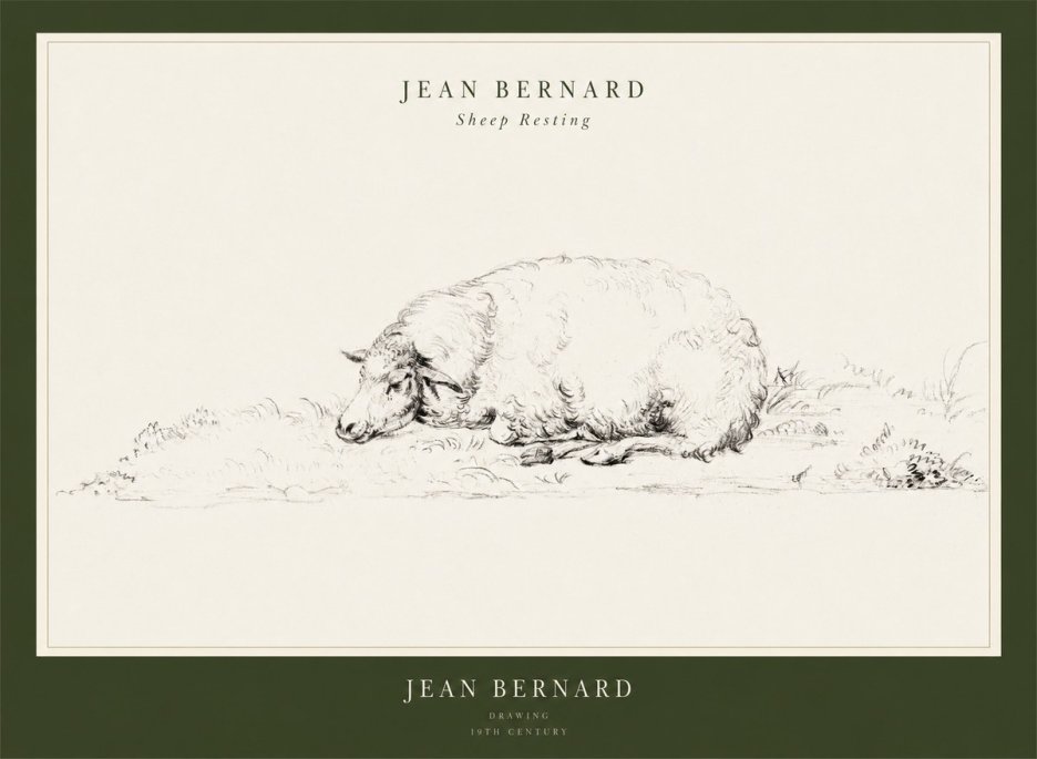 Jean Bernard Sheep Resting on the Ground No3 - Poster