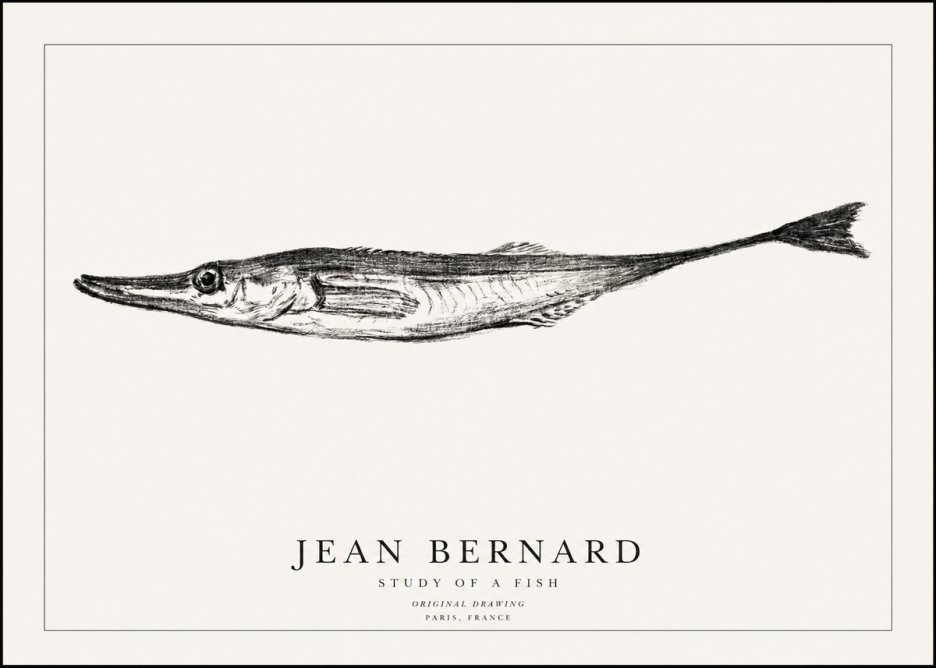Jean Bernard Study of a Fish I No1 - Poster