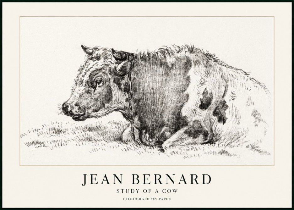 Jean Bernard Resting Cow I No3 - Poster