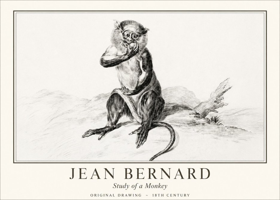 Jean Bernard Study of a Monkey No1 - Poster