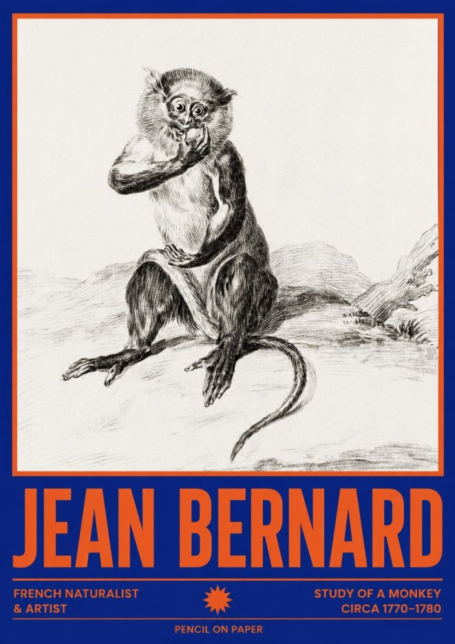 Jean Bernard Study of a Monkey No4 - Poster