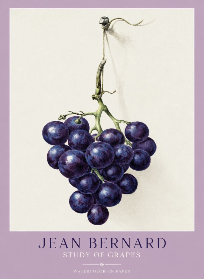 Jean Bernard Grapes No2 - Poster