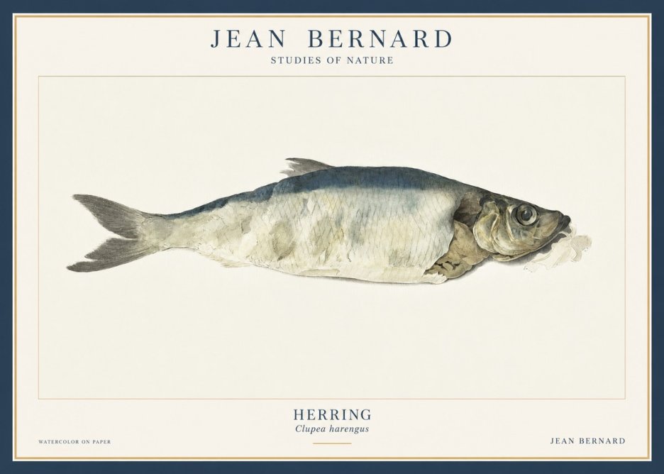 Jean Bernard Herring No3 - Poster