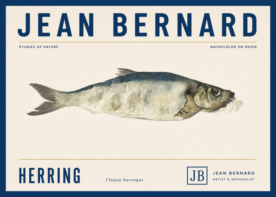 Jean Bernard Herring No5 - Poster