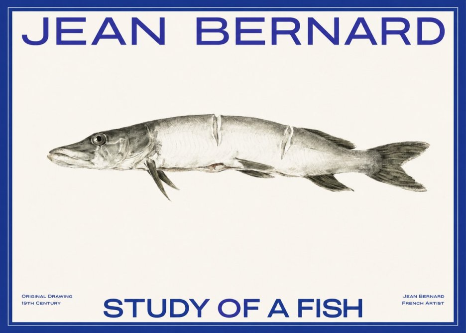 Jean Bernard Study of a Fish II No2 - Poster