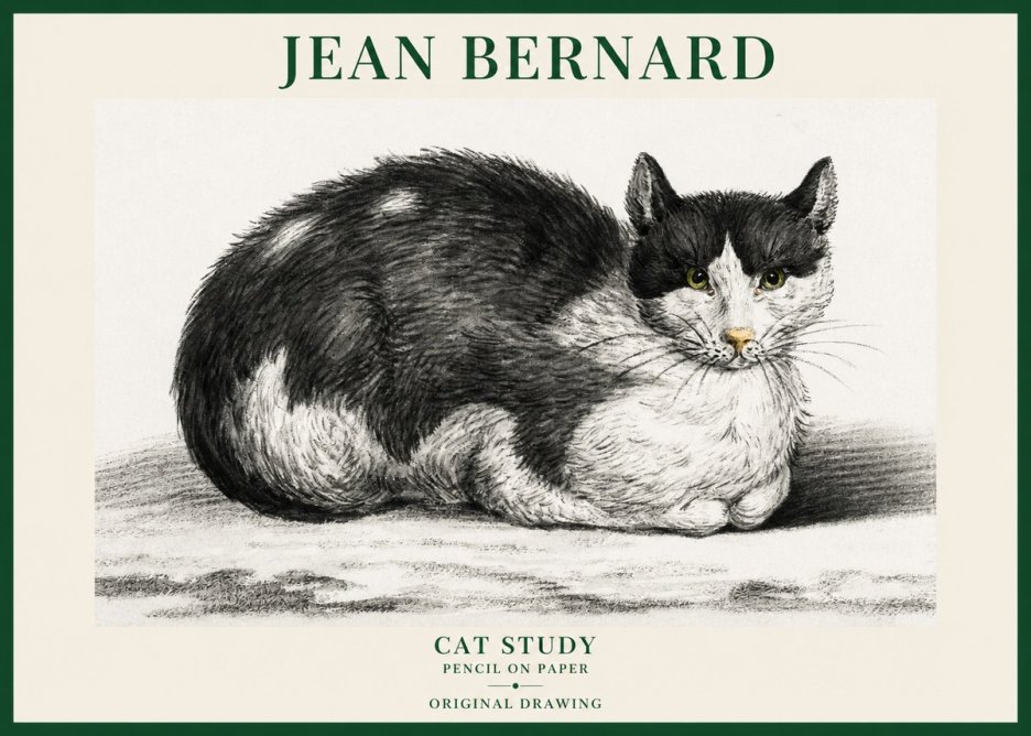 Jean Bernard Cat Study II No6 - Poster