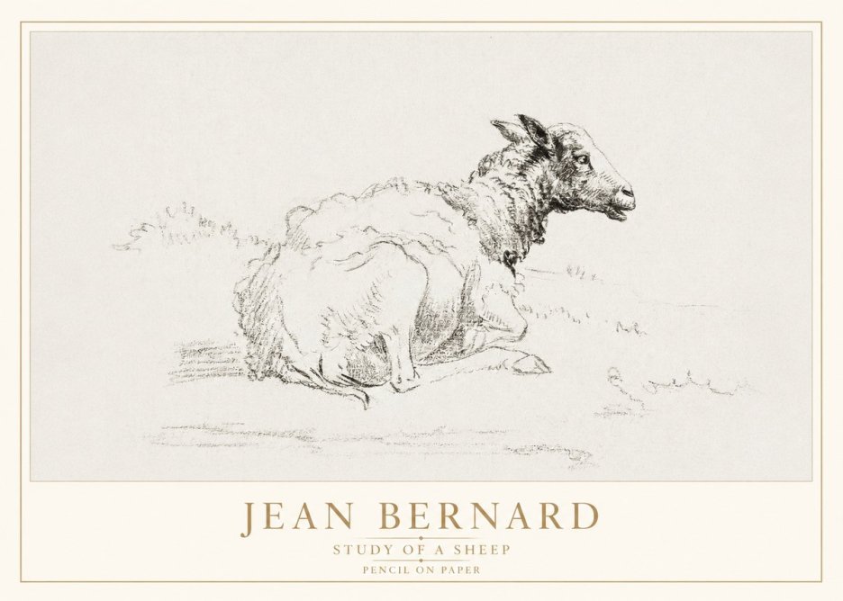 Jean Bernard Sheep Resting No4 - Poster