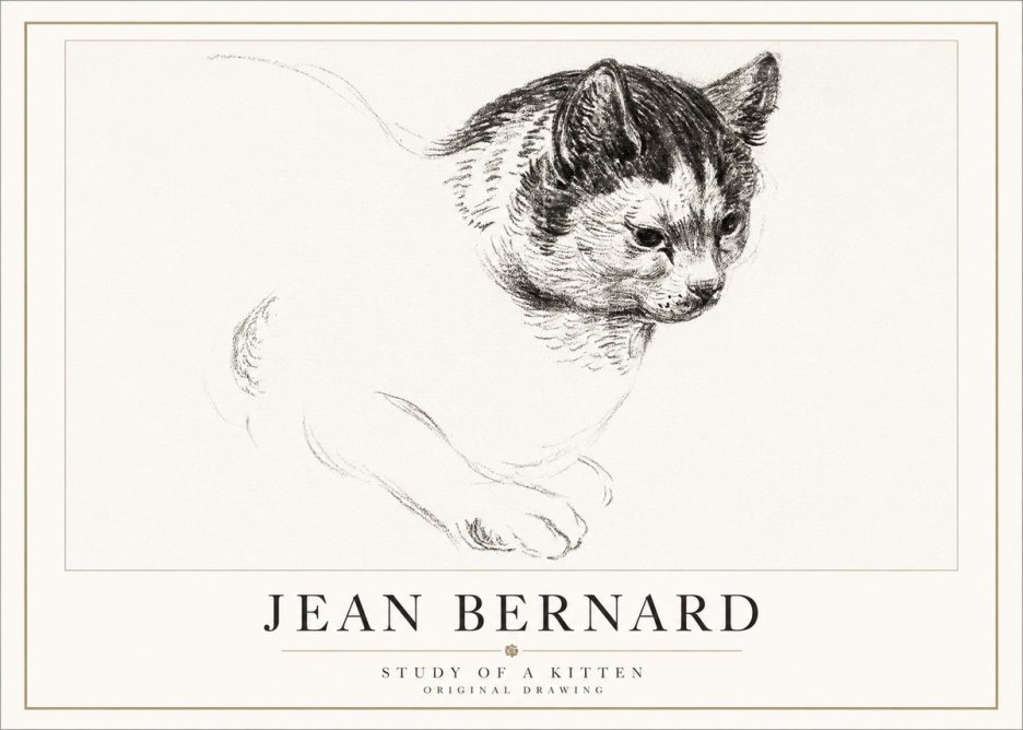 Jean Bernard Study of a Kitten I No5 - Poster