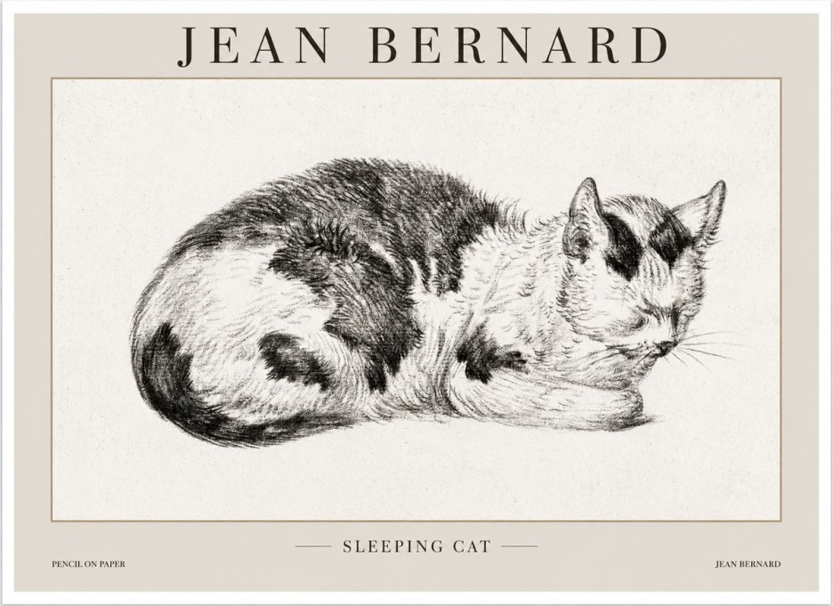 Jean Bernard Sleeping Cat I No1 - Poster